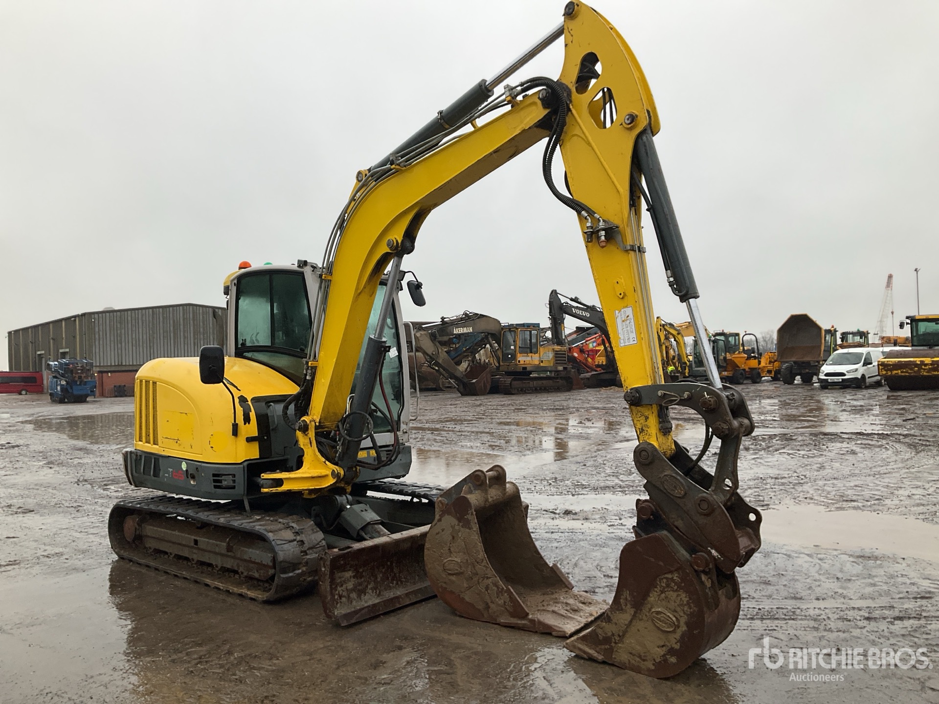 General Appearance with Bild, Ecke vorne rechts