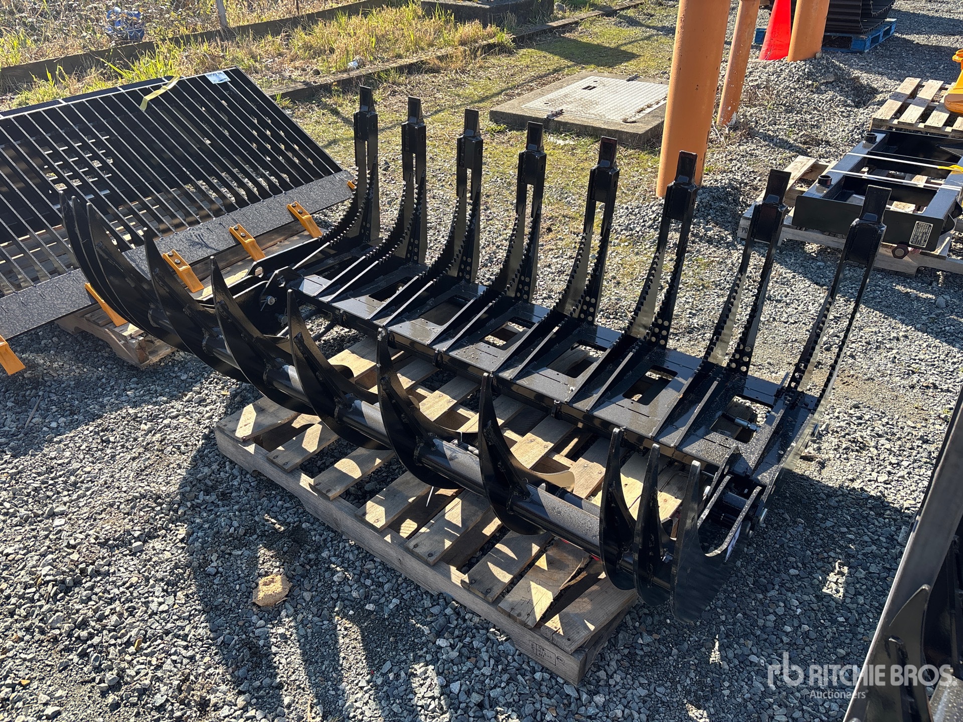 General Appearance with Zdjęcie, prawy dolny róg