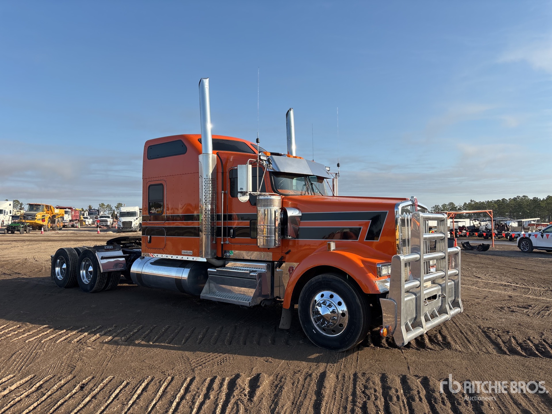 General Appearance with Zdjęcie, prawy górny róg