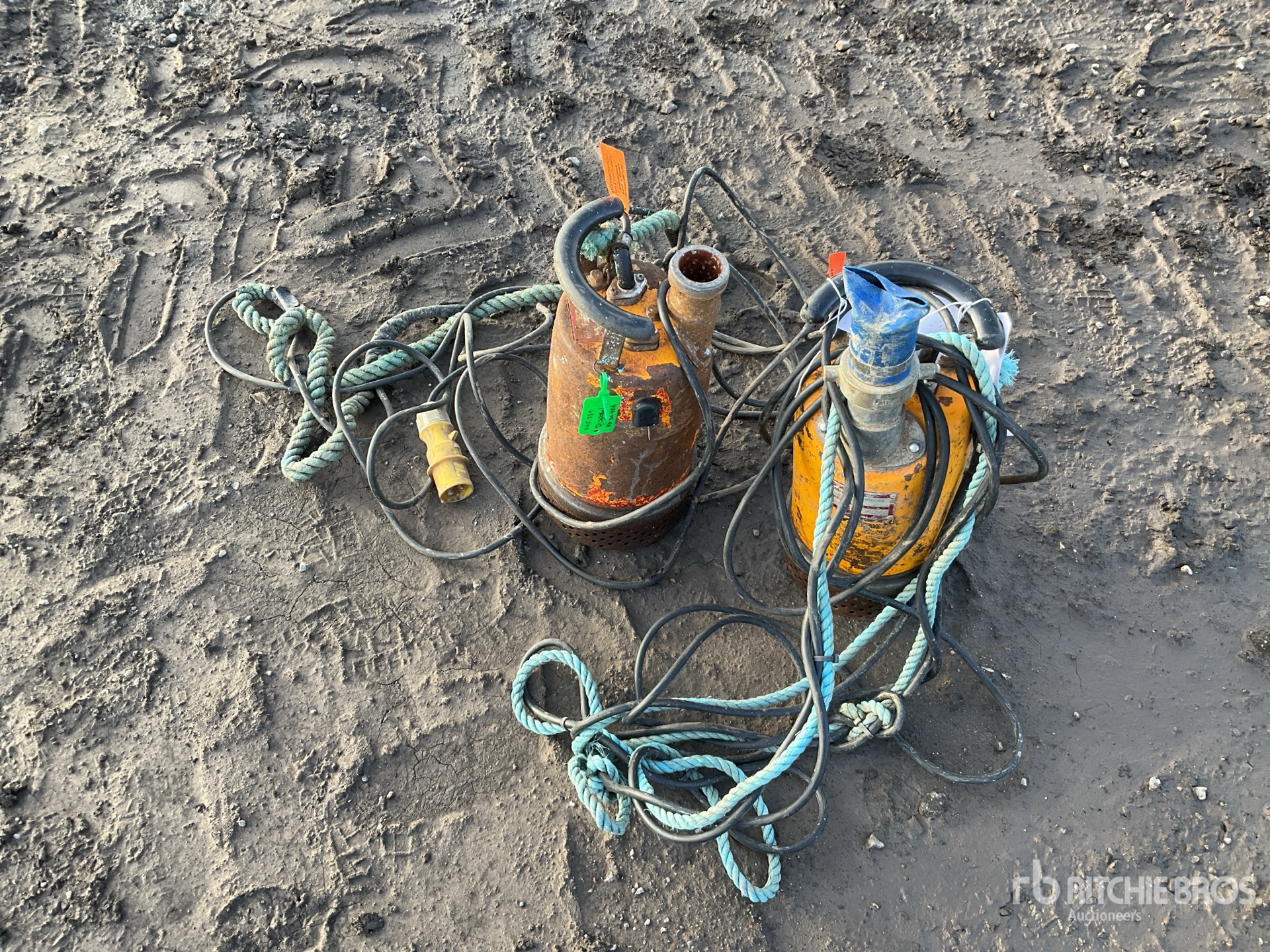 General Appearance with Zdjęcie, prawy górny róg