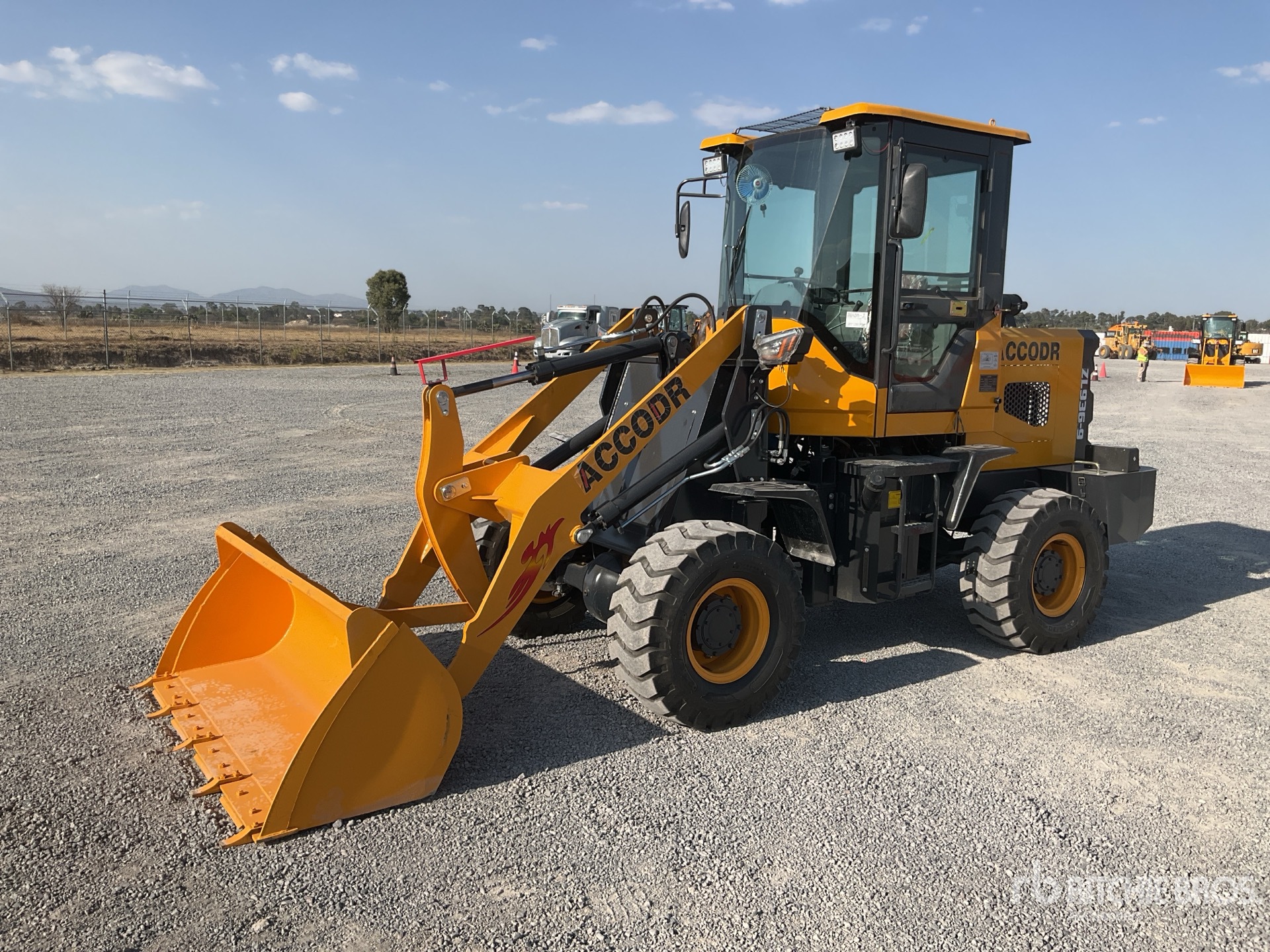 General Appearance with Spin