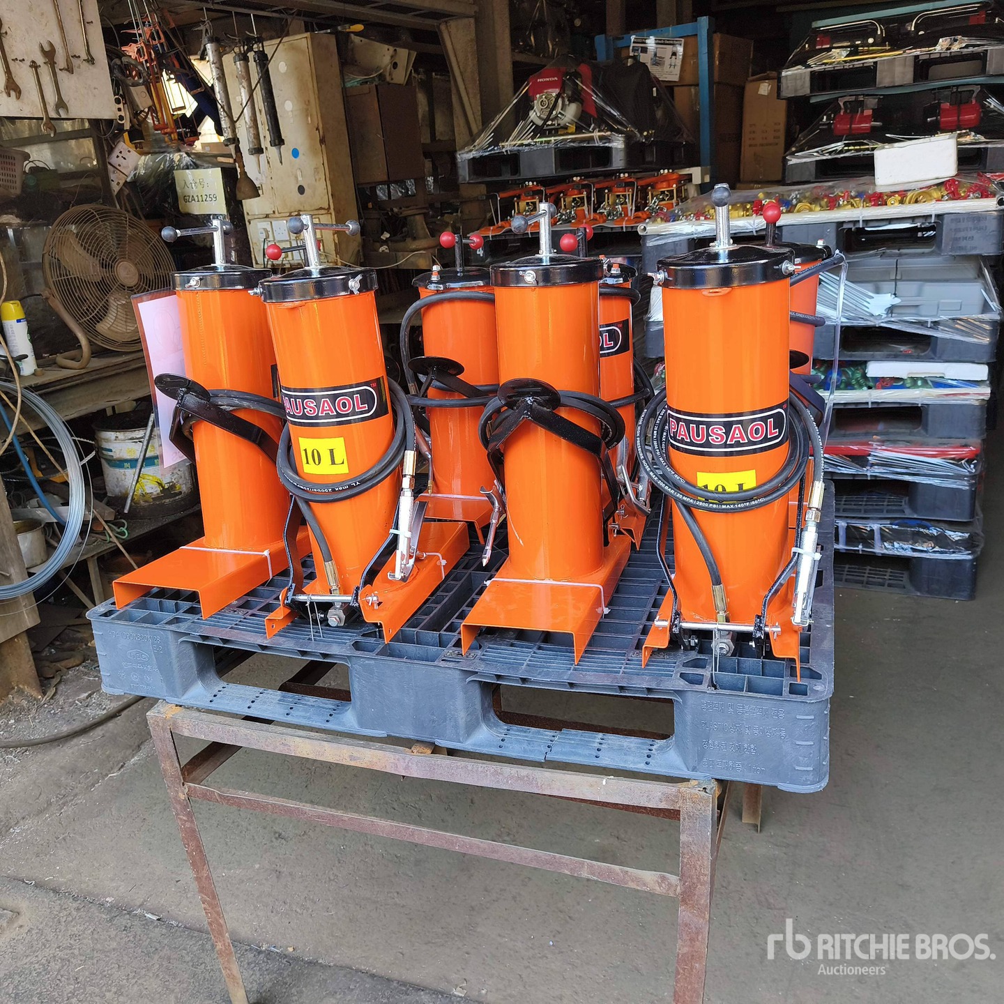 General Appearance with