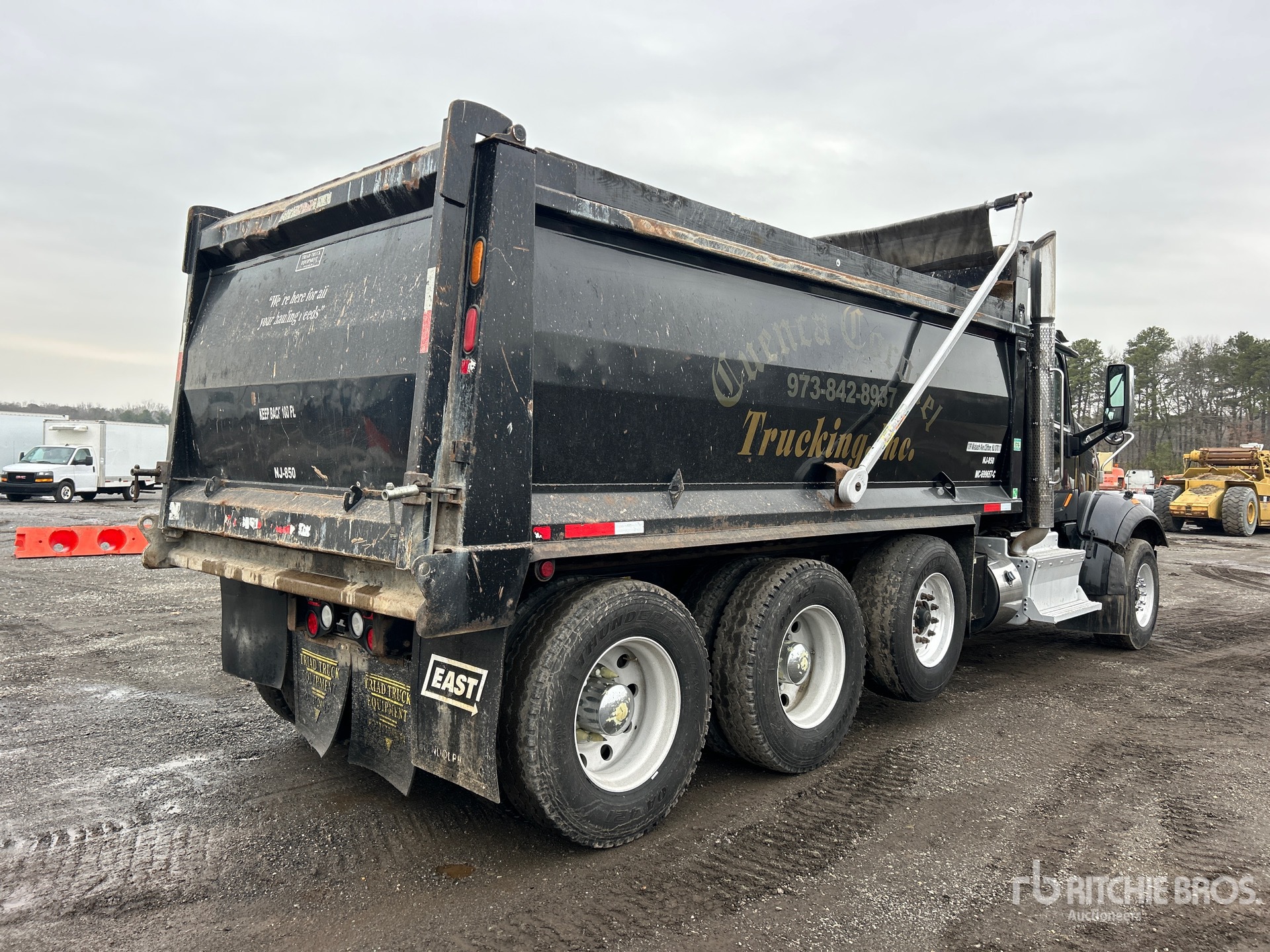 General Appearance with Zdjęcie, prawy dolny róg