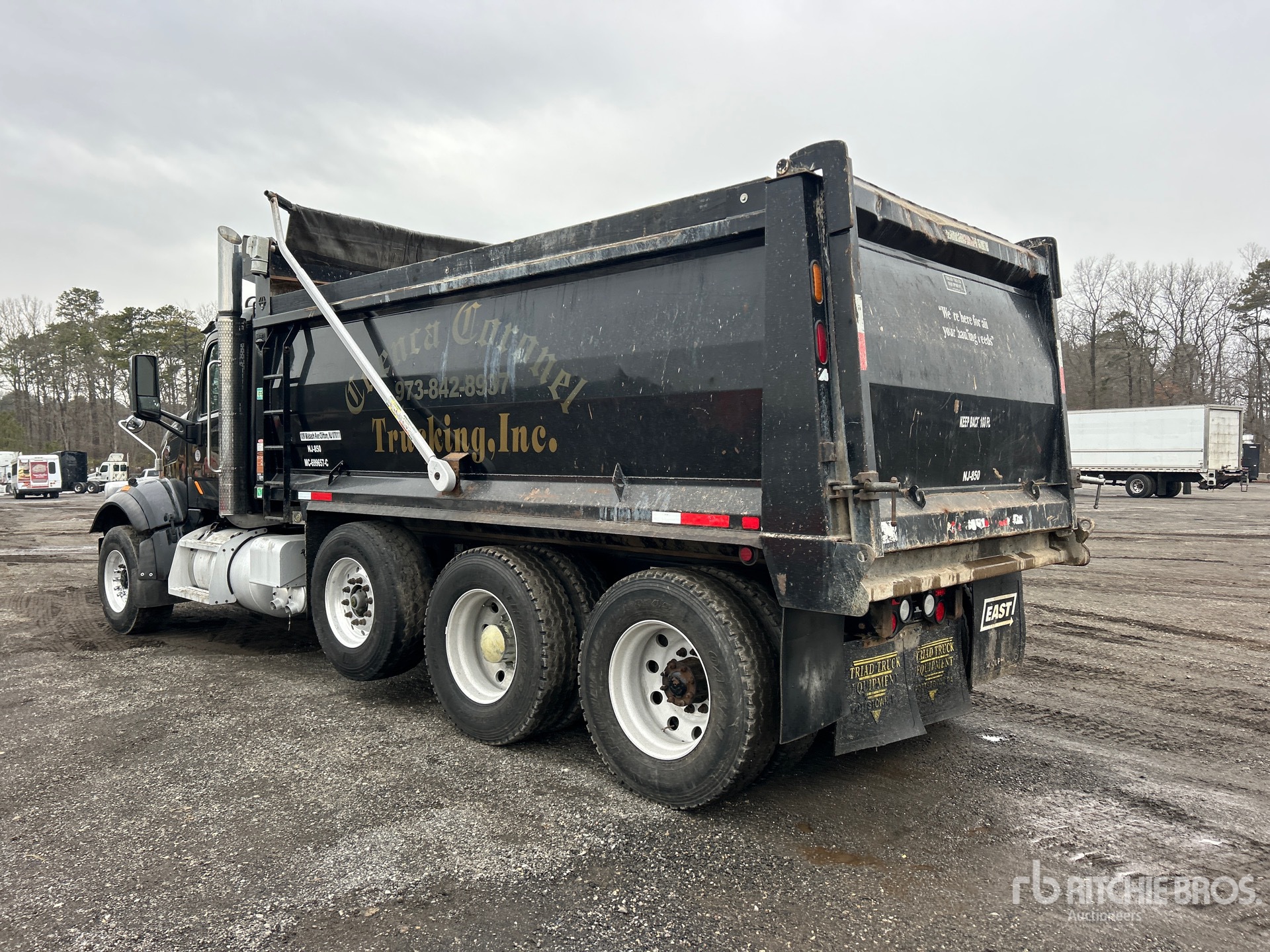 General Appearance with Zdjęcie, lewy dolny róg