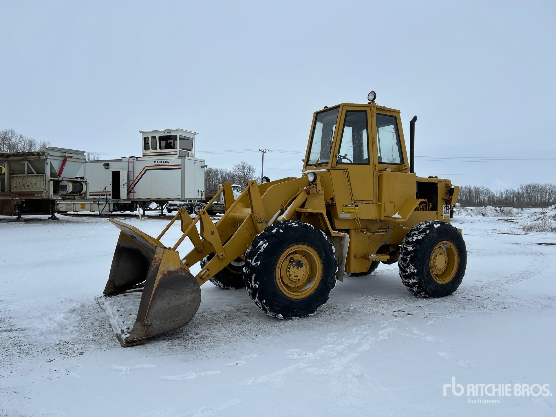 General Appearance with Spin