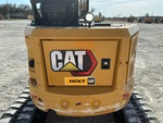 General Appearance with Paint