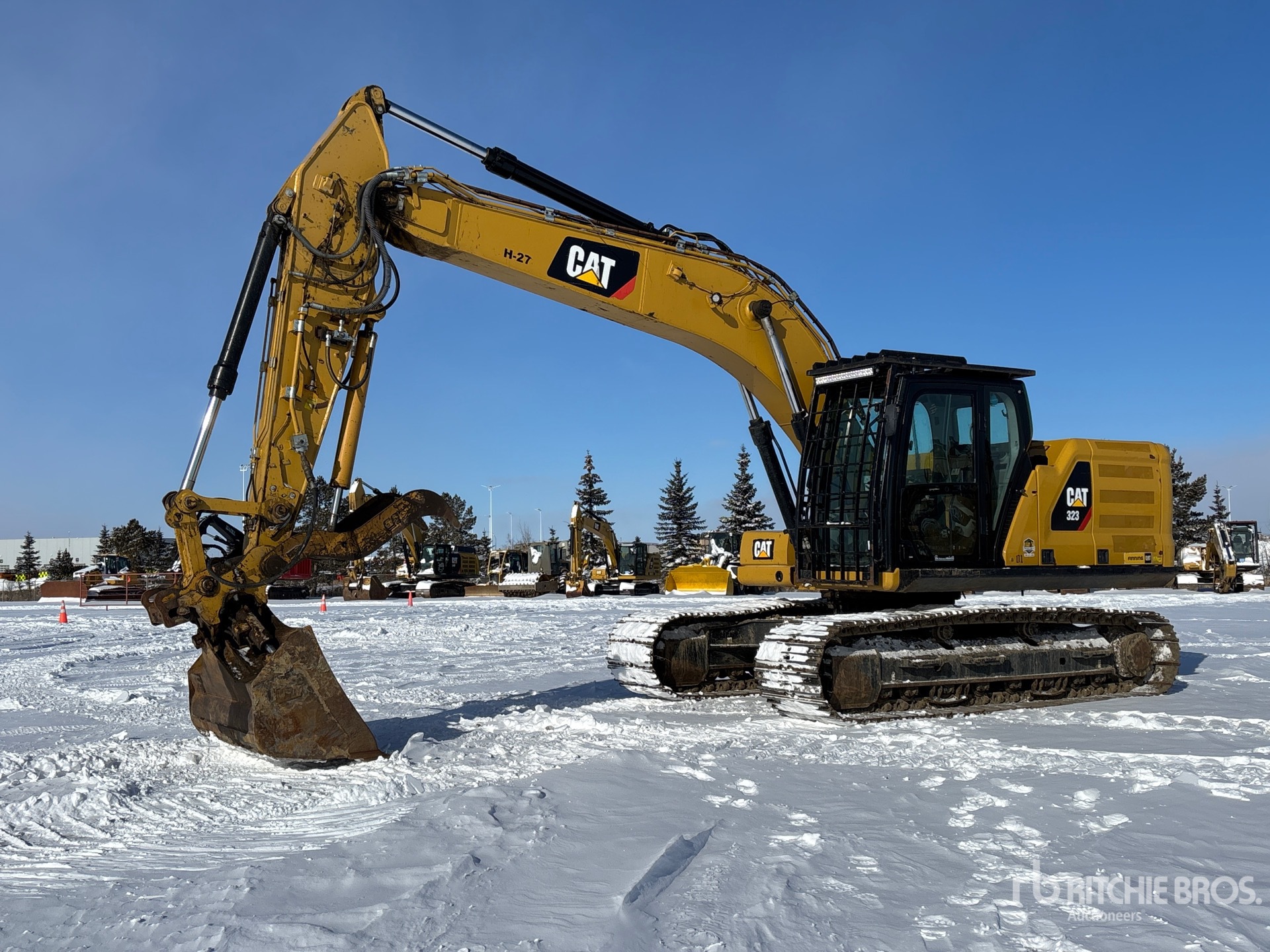 General Appearance with Featured Photo