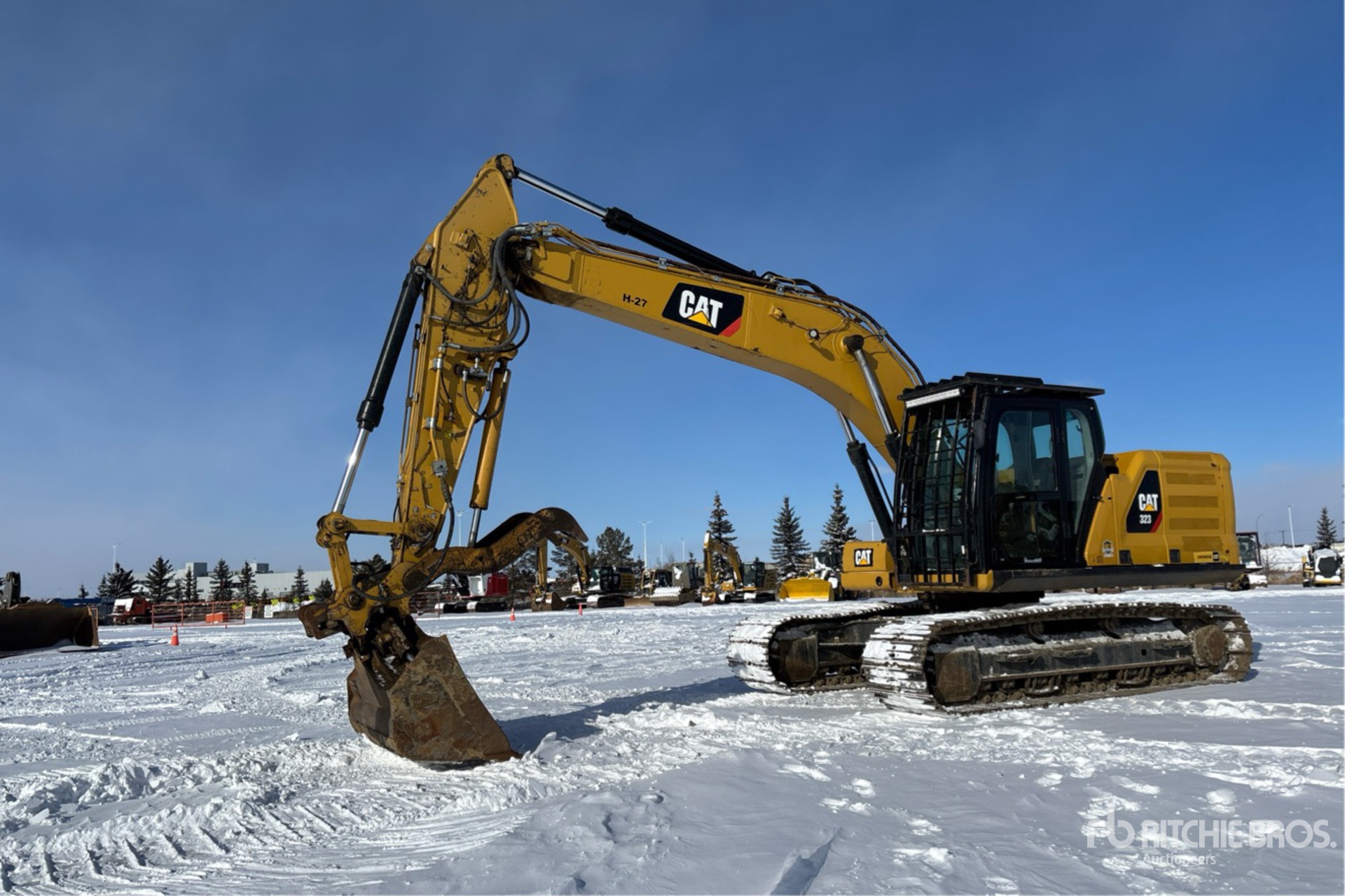 General Appearance with Bild, Ecke vorne links