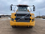 General Appearance with Paint