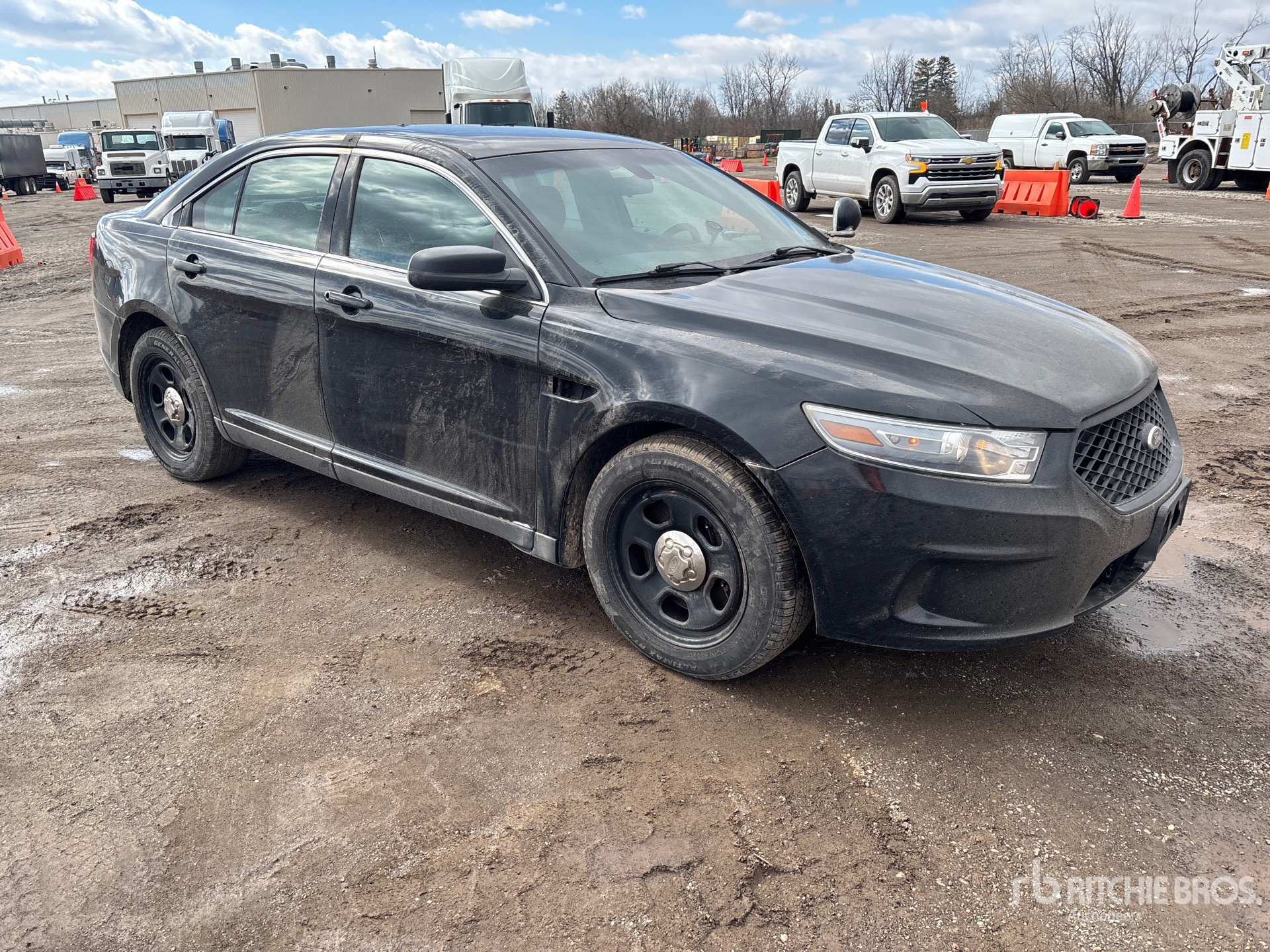 General Appearance with Image, coin avant droit