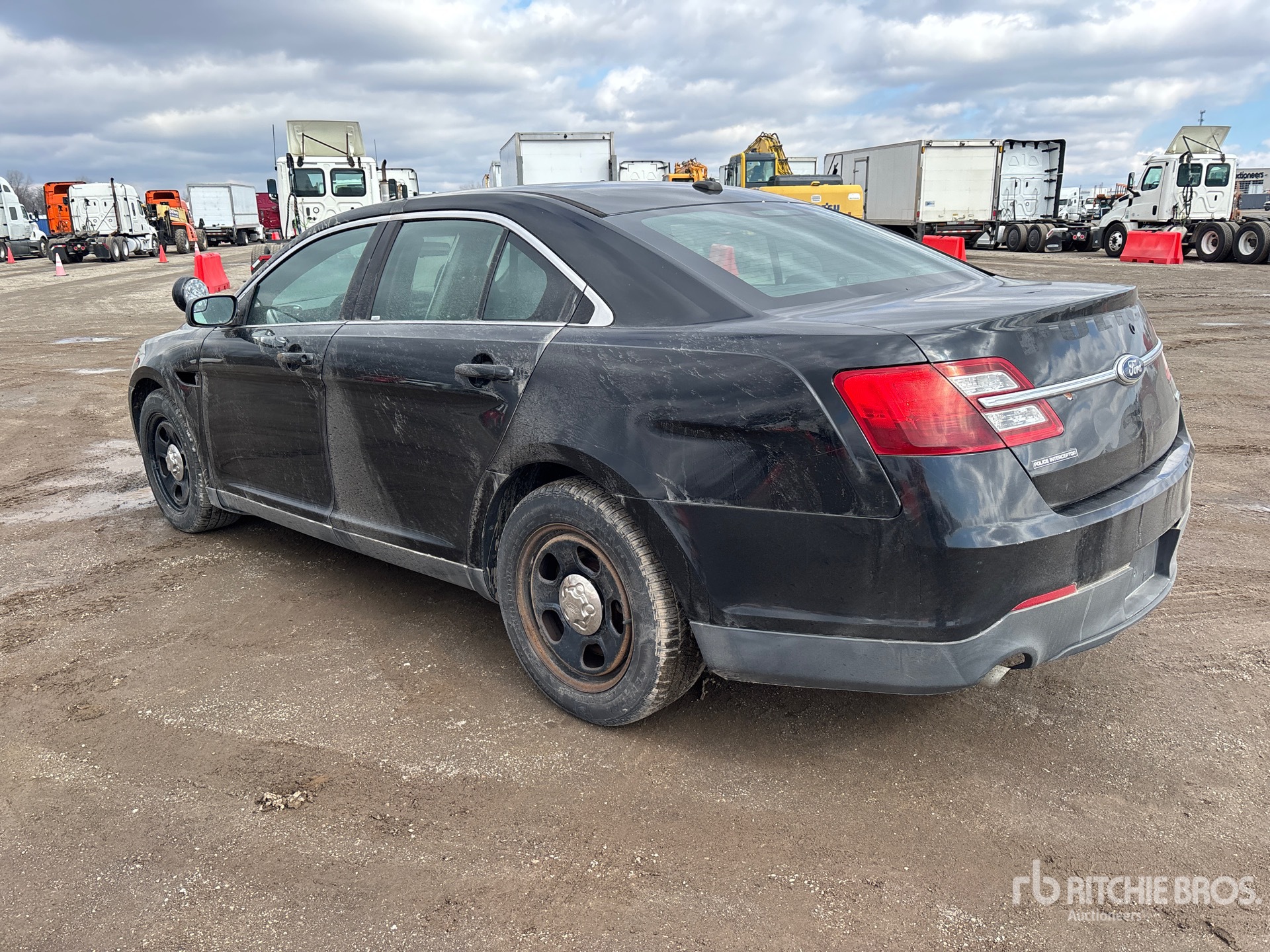 General Appearance with Image, coin arrière gauche