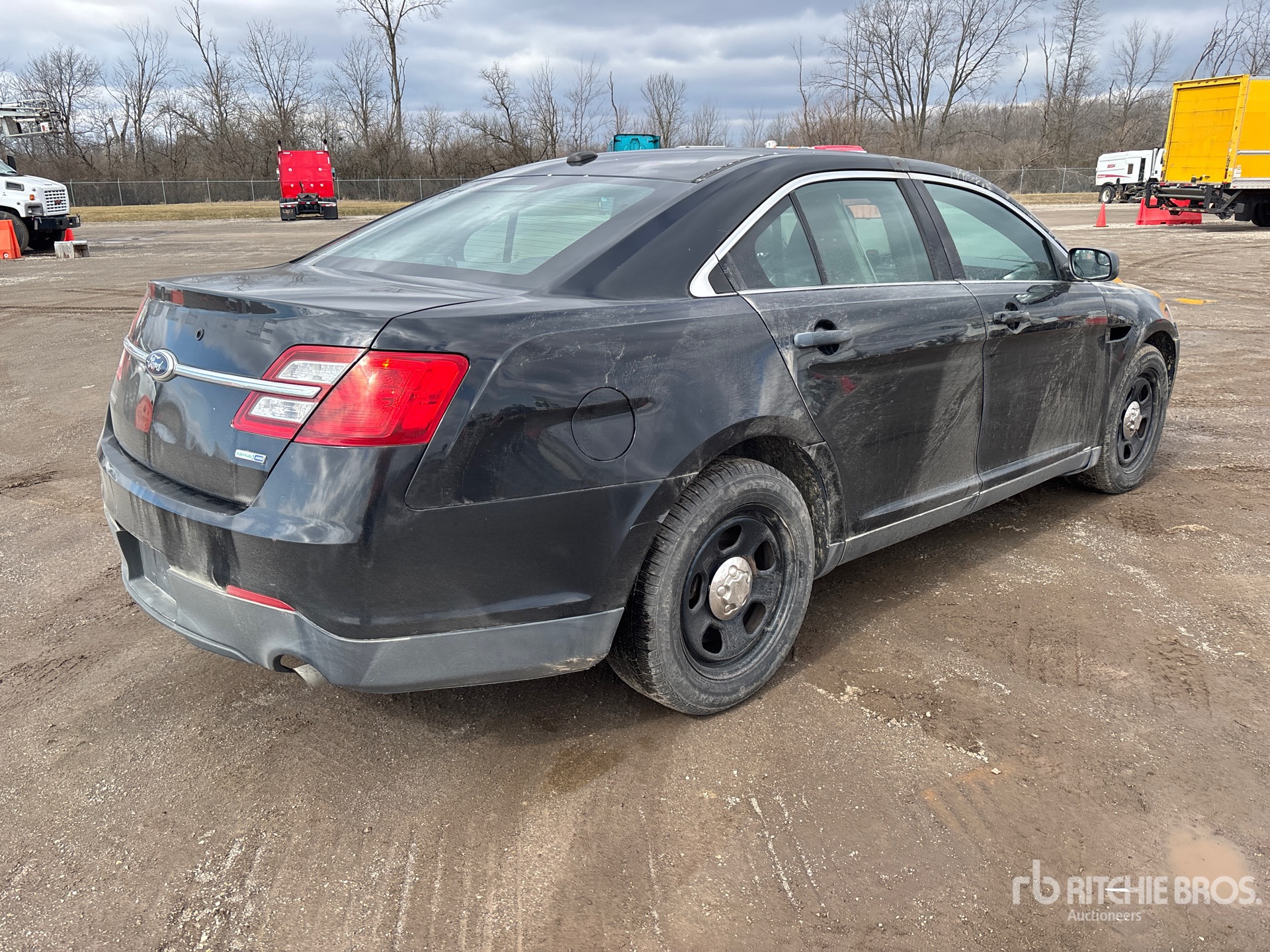 General Appearance with Image, coin arrière droit