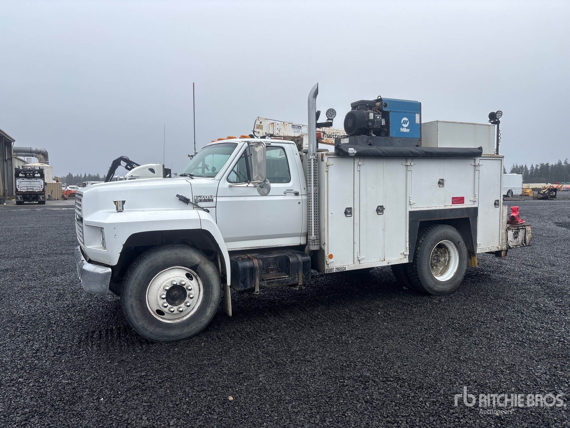 General Appearance with Spin