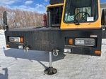 General Appearance with Paint