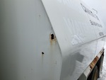 General Appearance with Paint