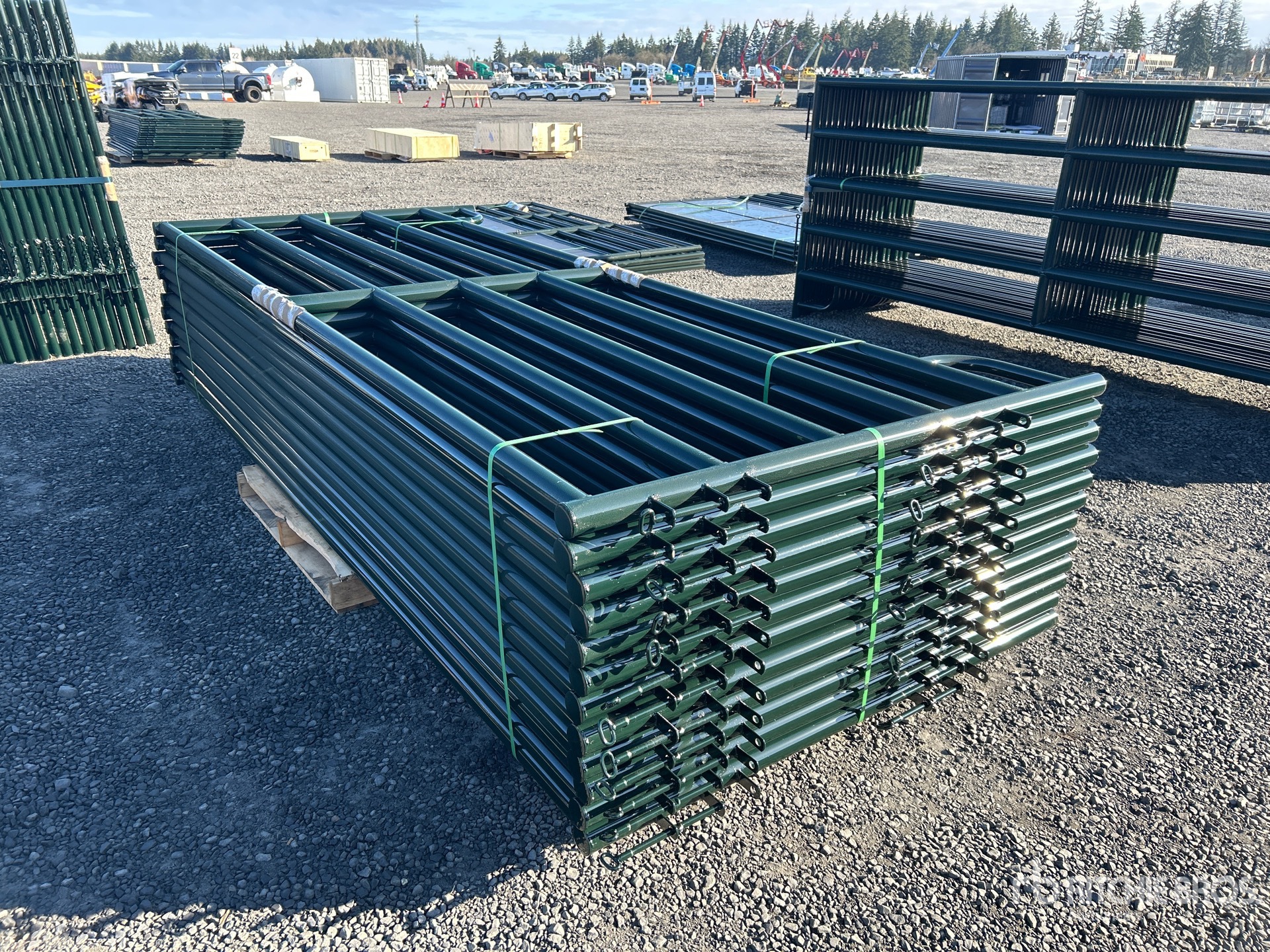 General Appearance with Foto, angolo anteriore sinistro