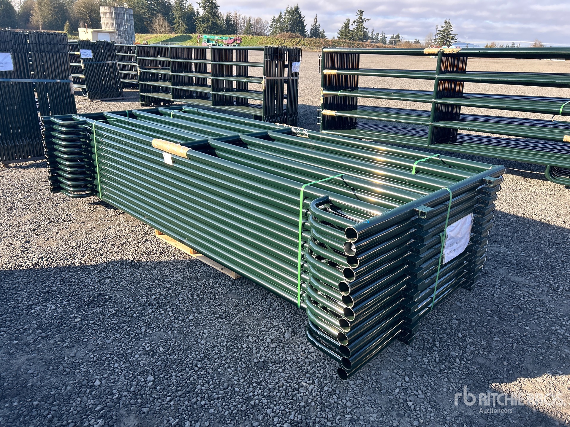 General Appearance with Foto, angolo anteriore sinistro