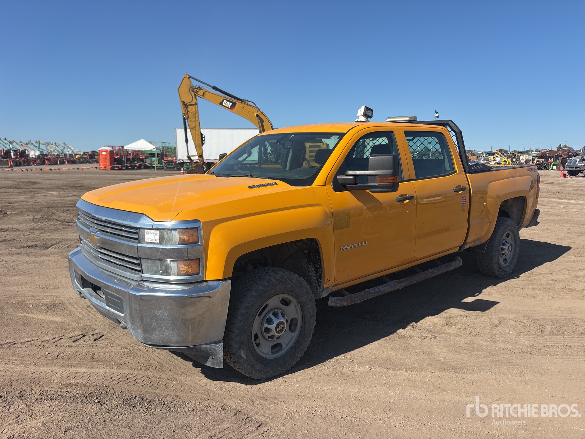 General Appearance with Spin