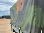 General Appearance with Paint