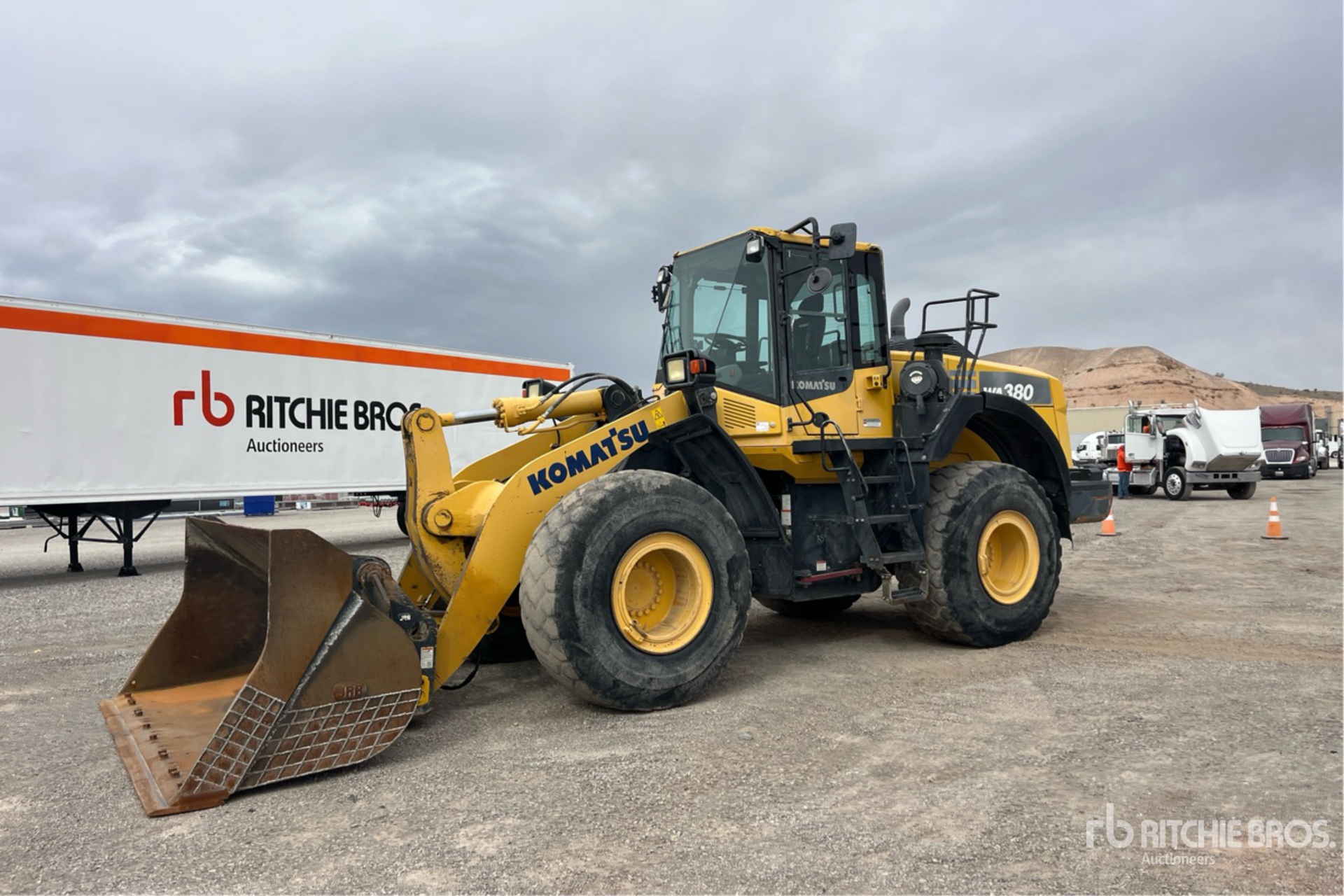 General Appearance with Spin