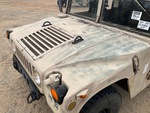 General Appearance with Paint