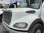 General Appearance with Paint