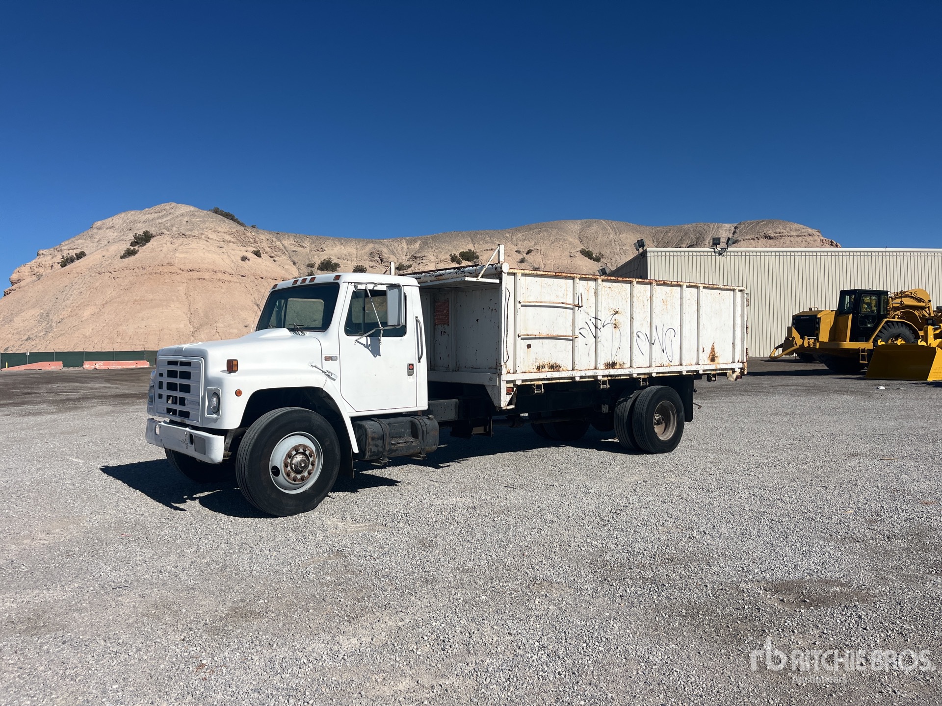 General Appearance with Spin