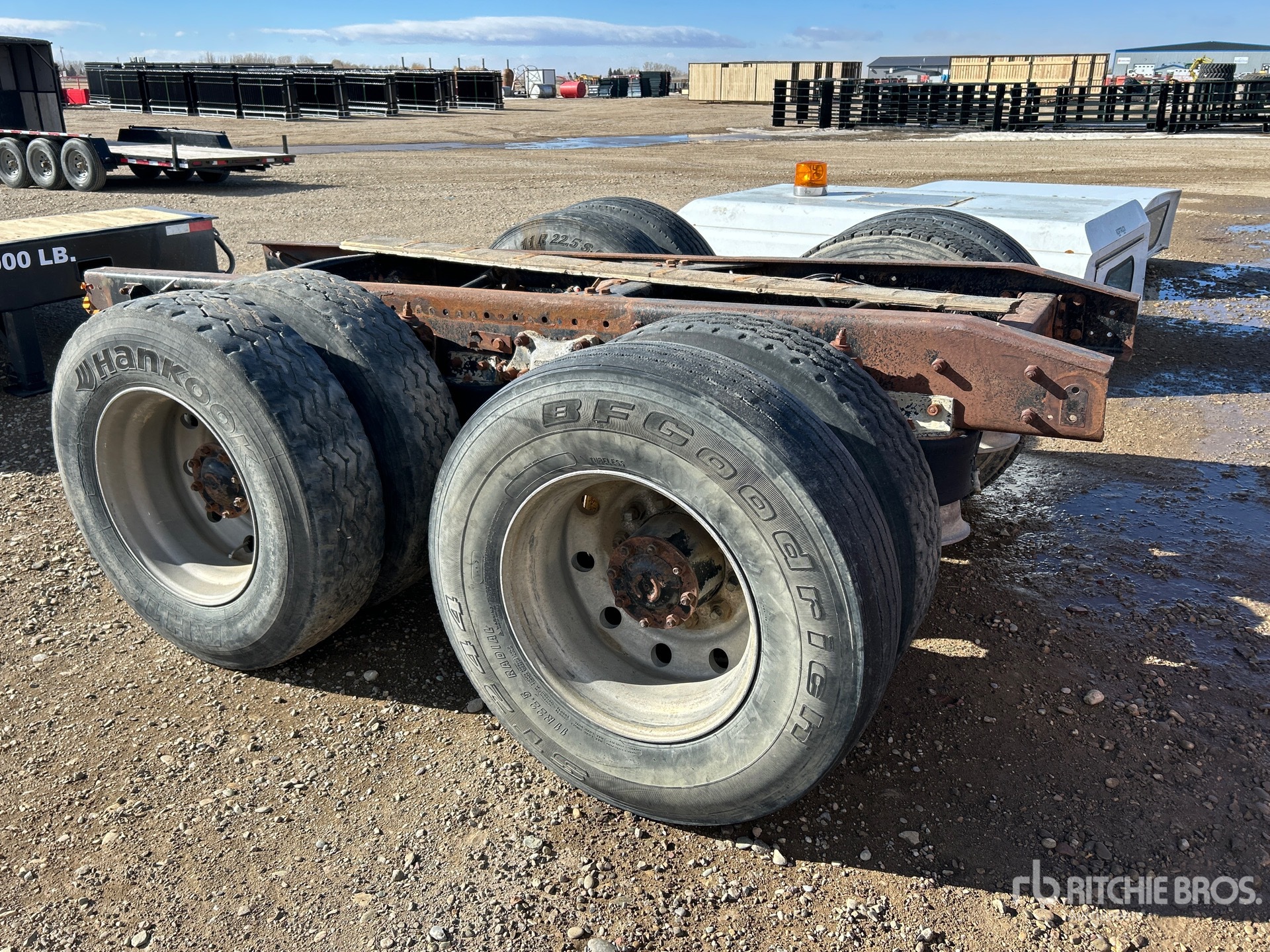 General Appearance with Zdjęcie, lewy dolny róg