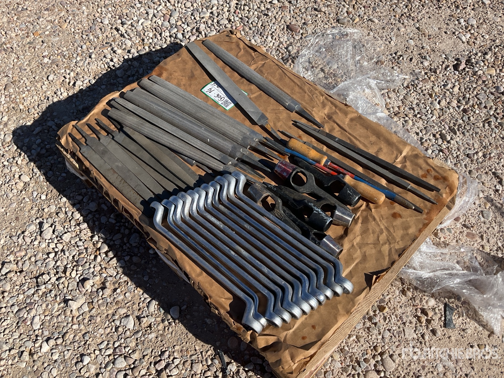 General Appearance with