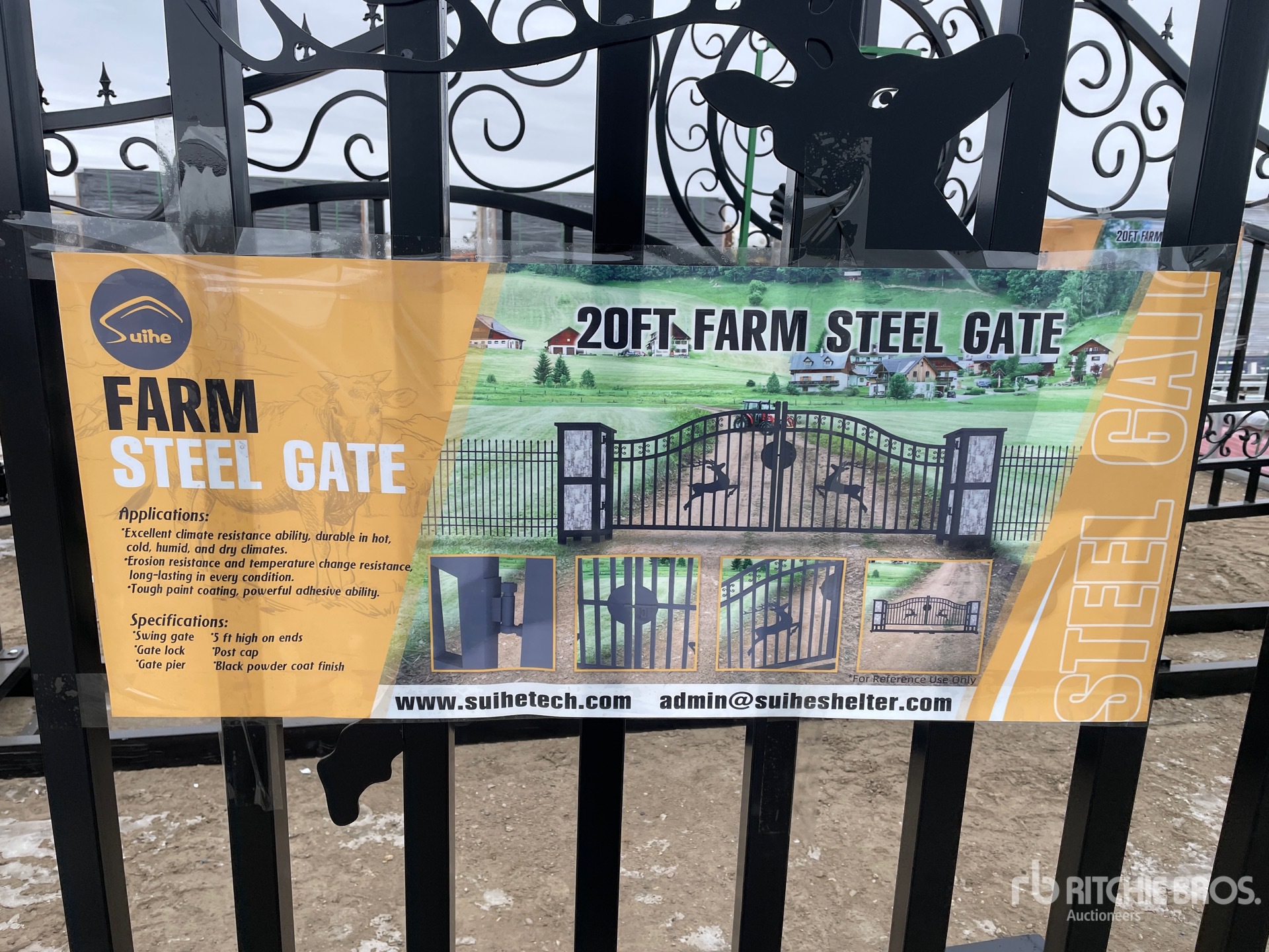 General Appearance with