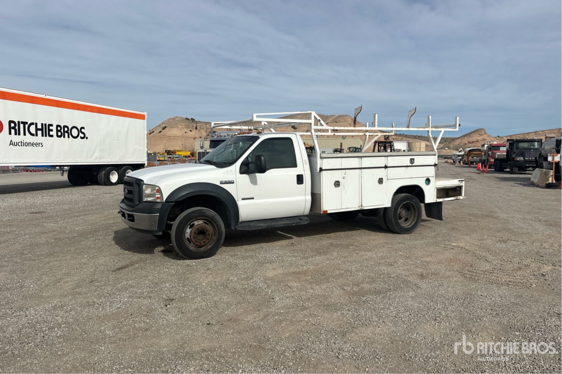 General Appearance with Spin