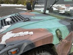 General Appearance with Paint