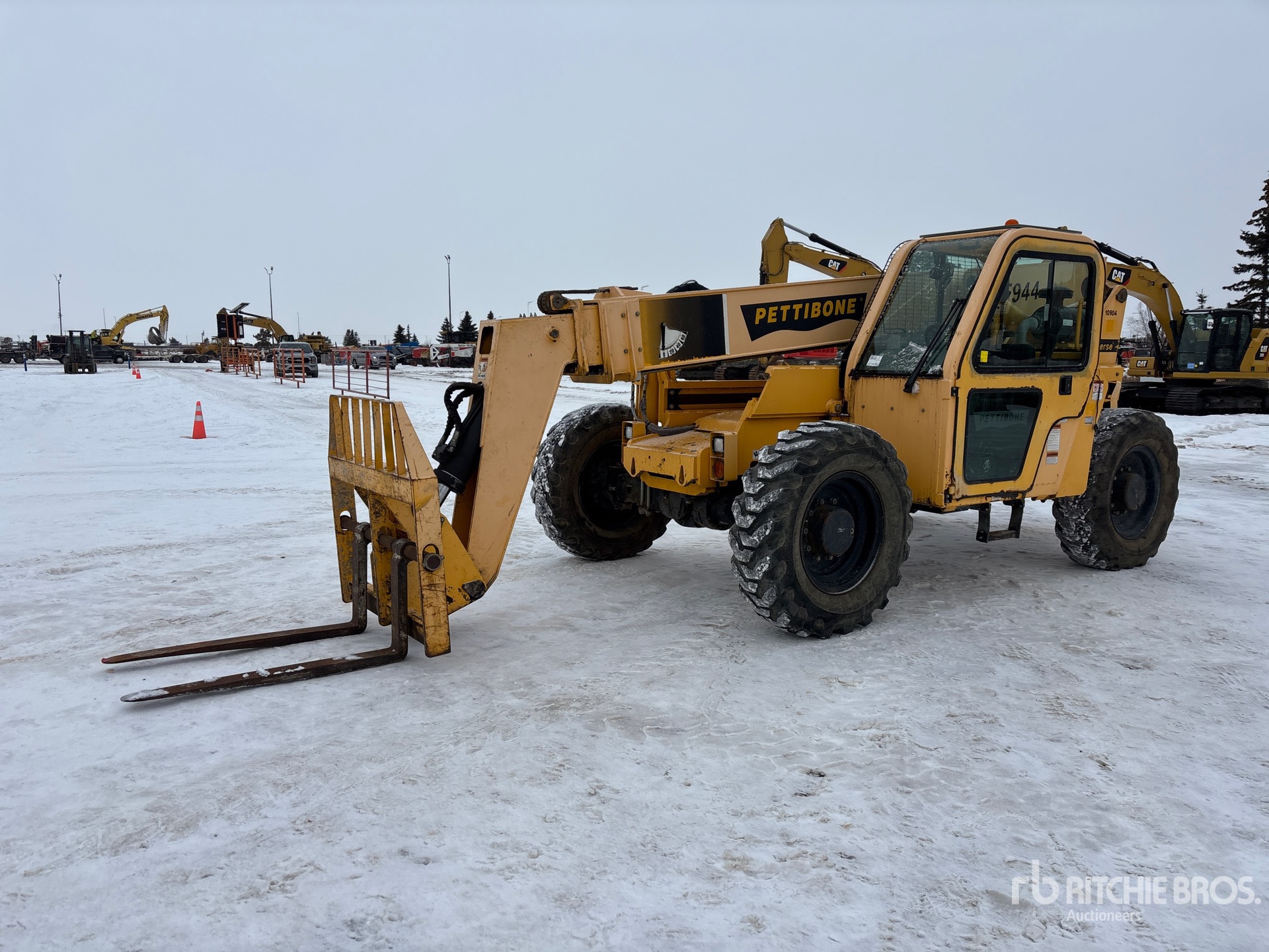 General Appearance with Spin