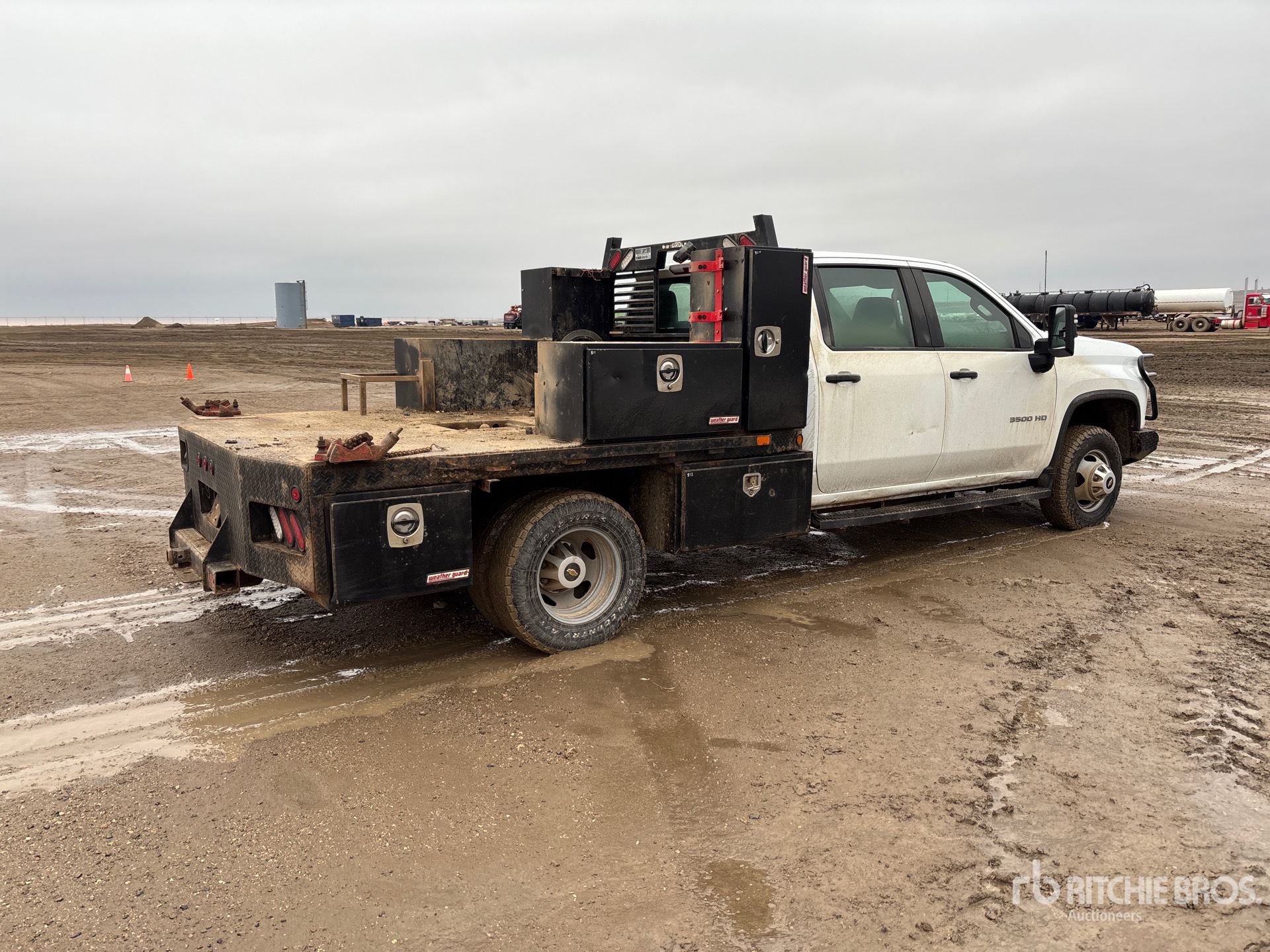 General Appearance with Zdjęcie, prawy dolny róg