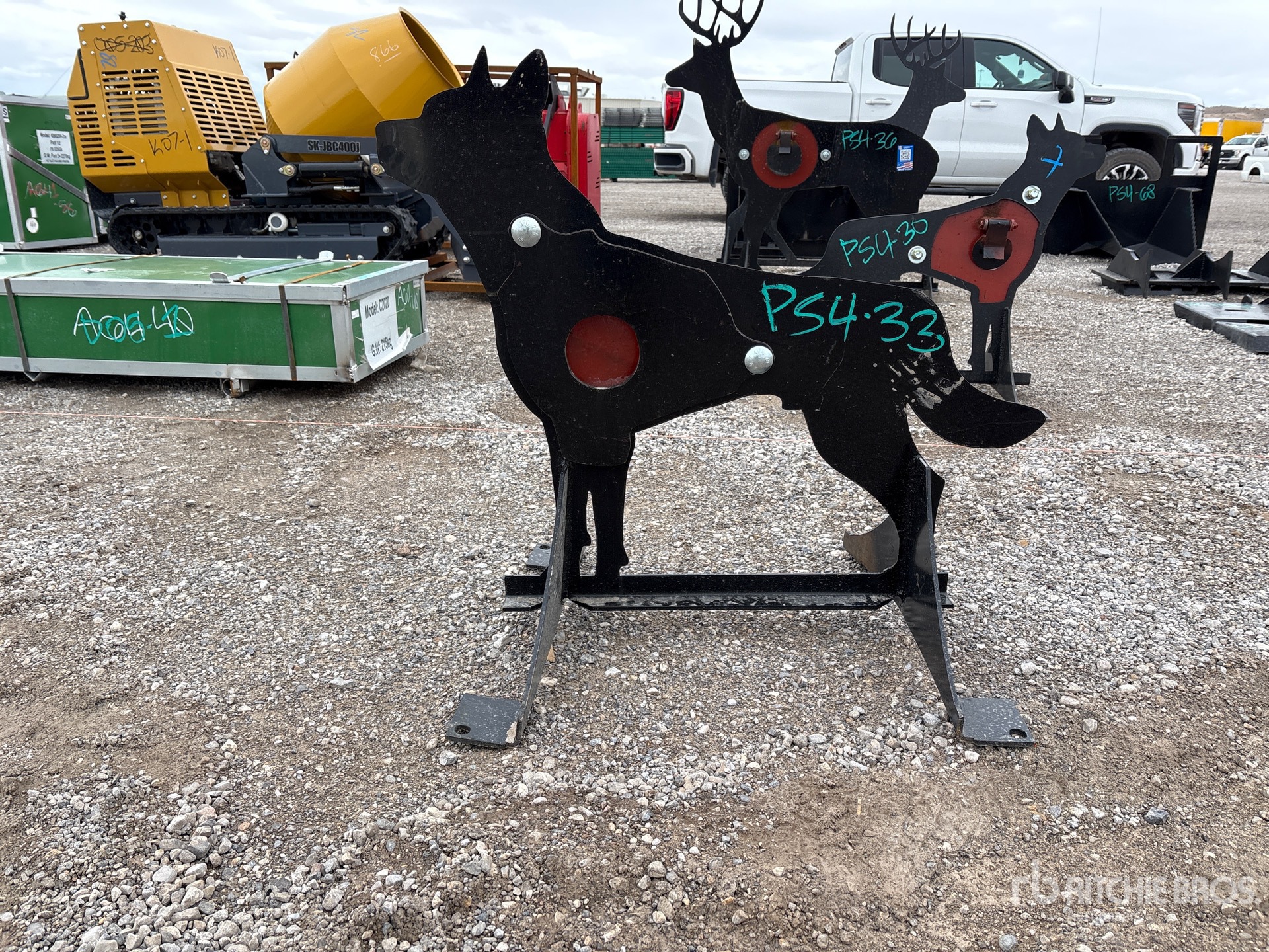 General Appearance with