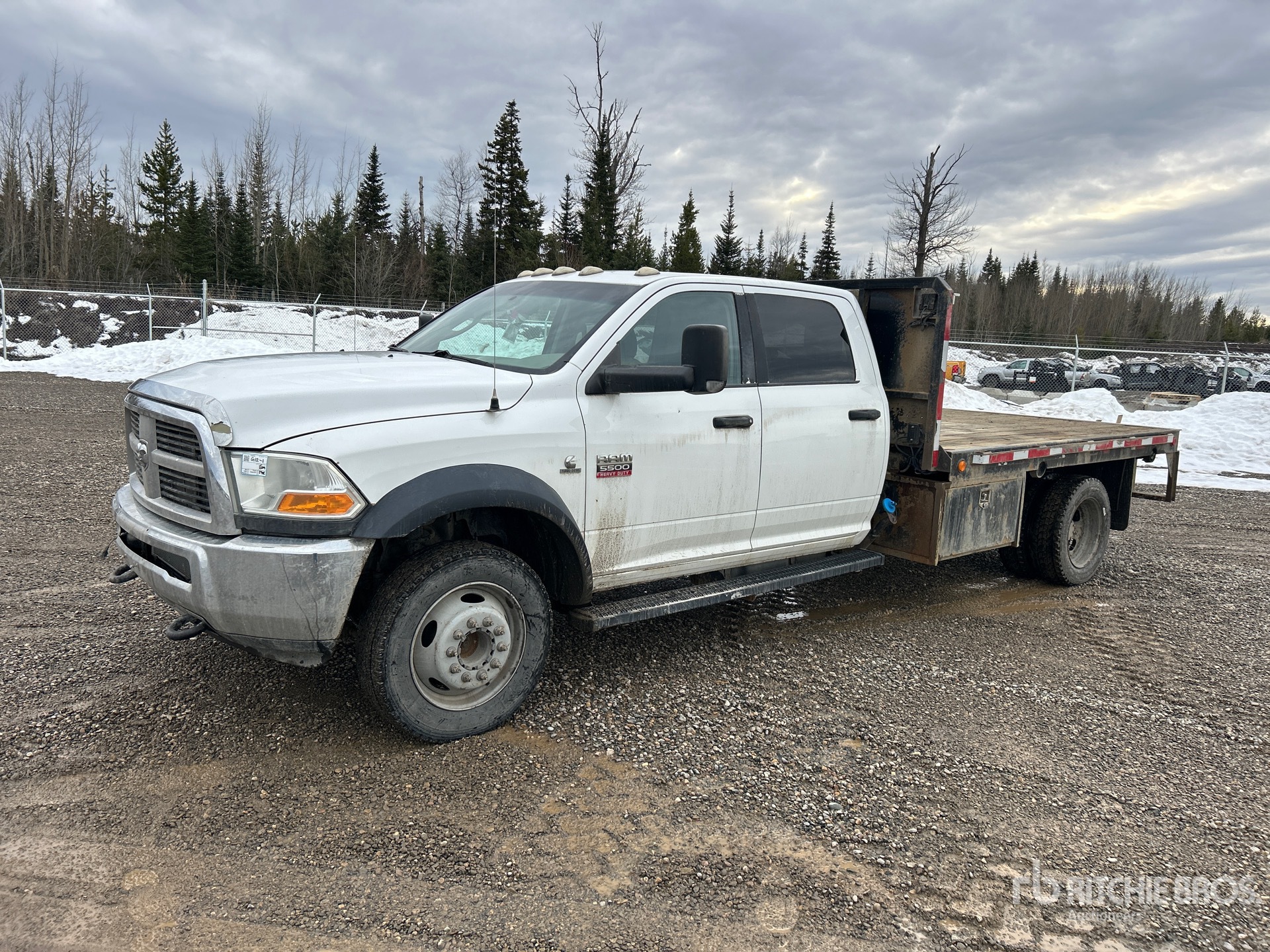 General Appearance with Spin