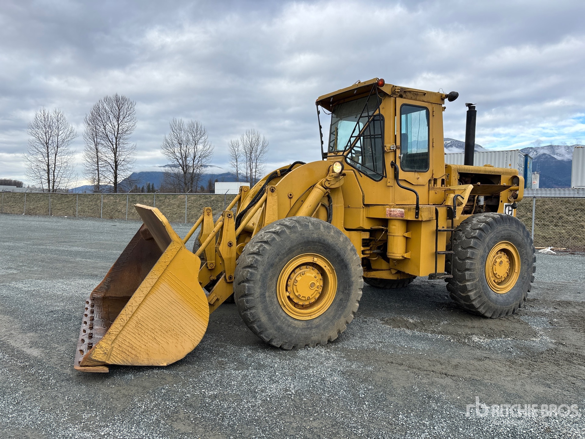 General Appearance with Spin