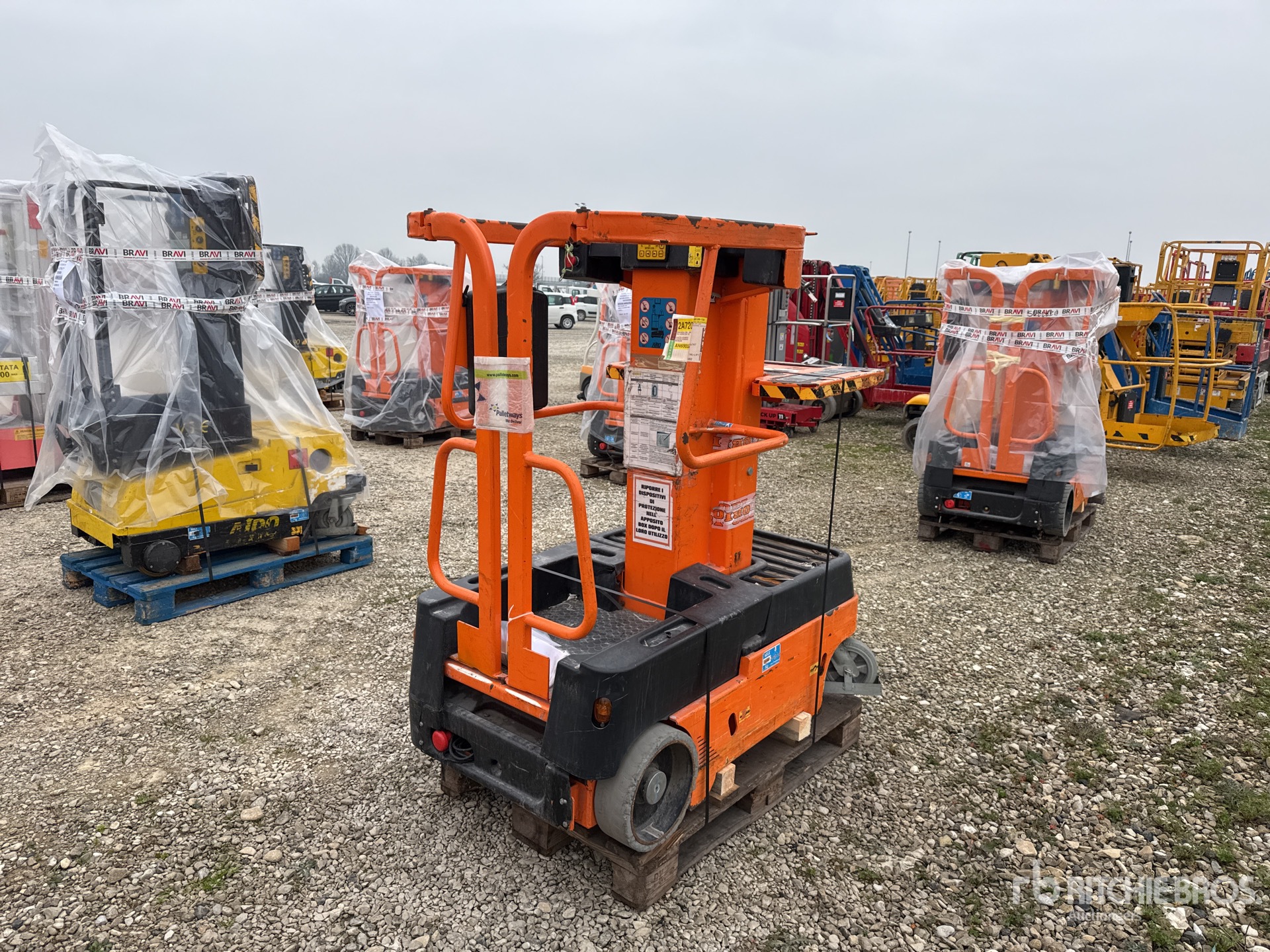 General Appearance with