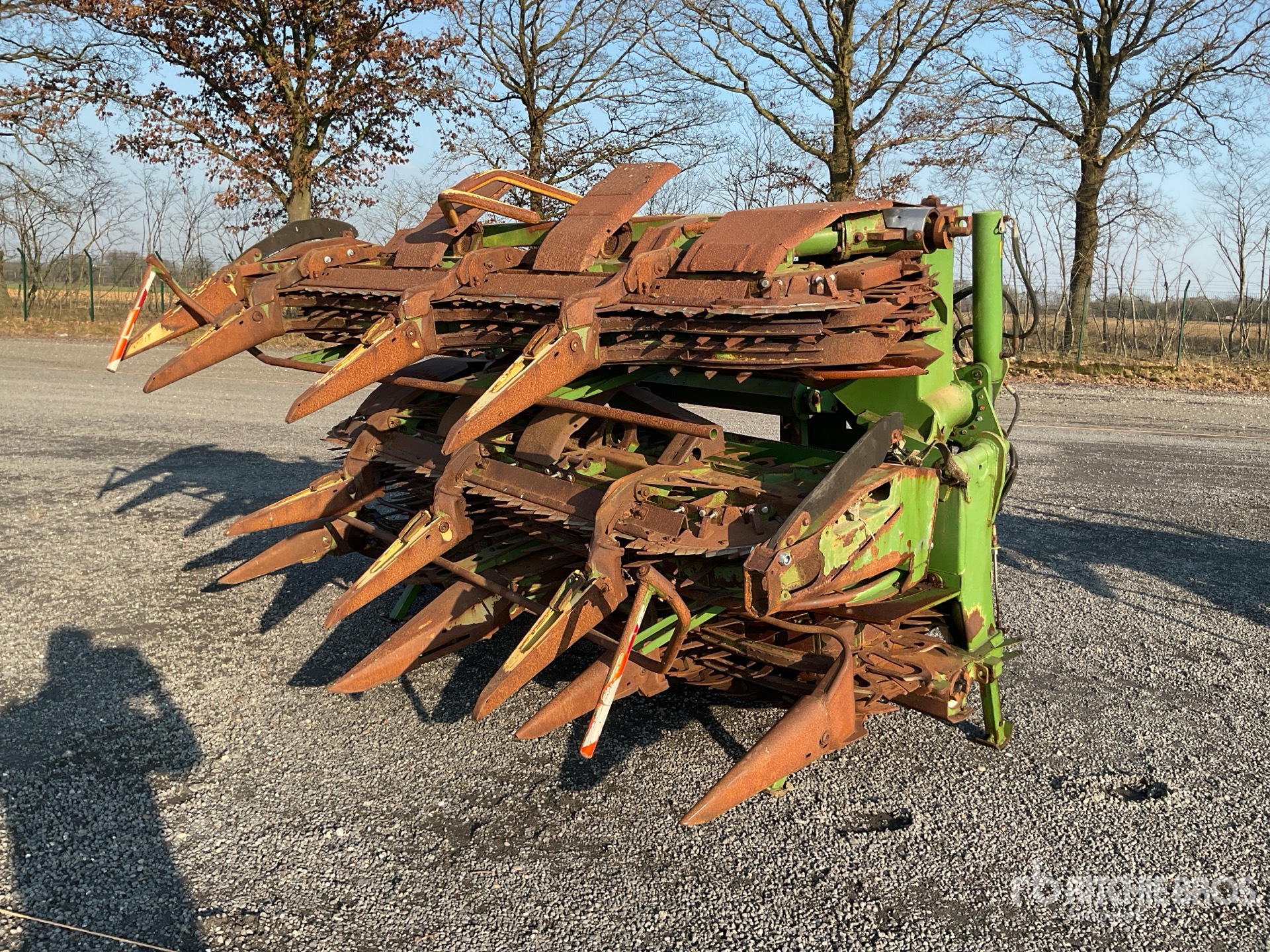 General Appearance with Foto, angolo anteriore sinistro