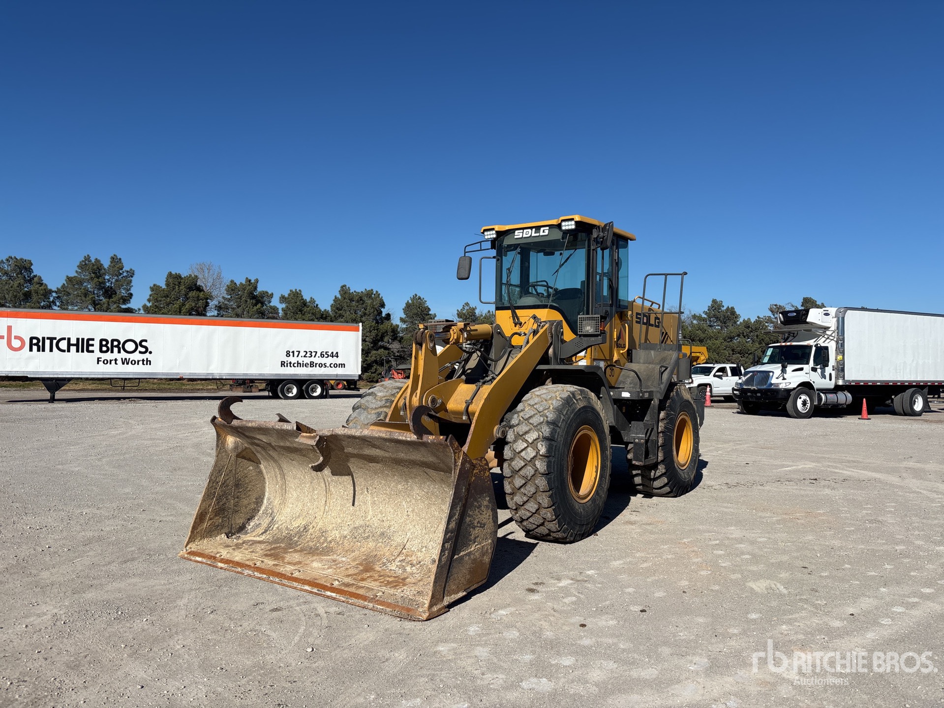 General Appearance with Spin