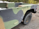 General Appearance with Paint
