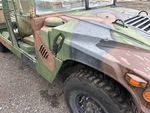 General Appearance with Paint