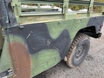 General Appearance with Paint