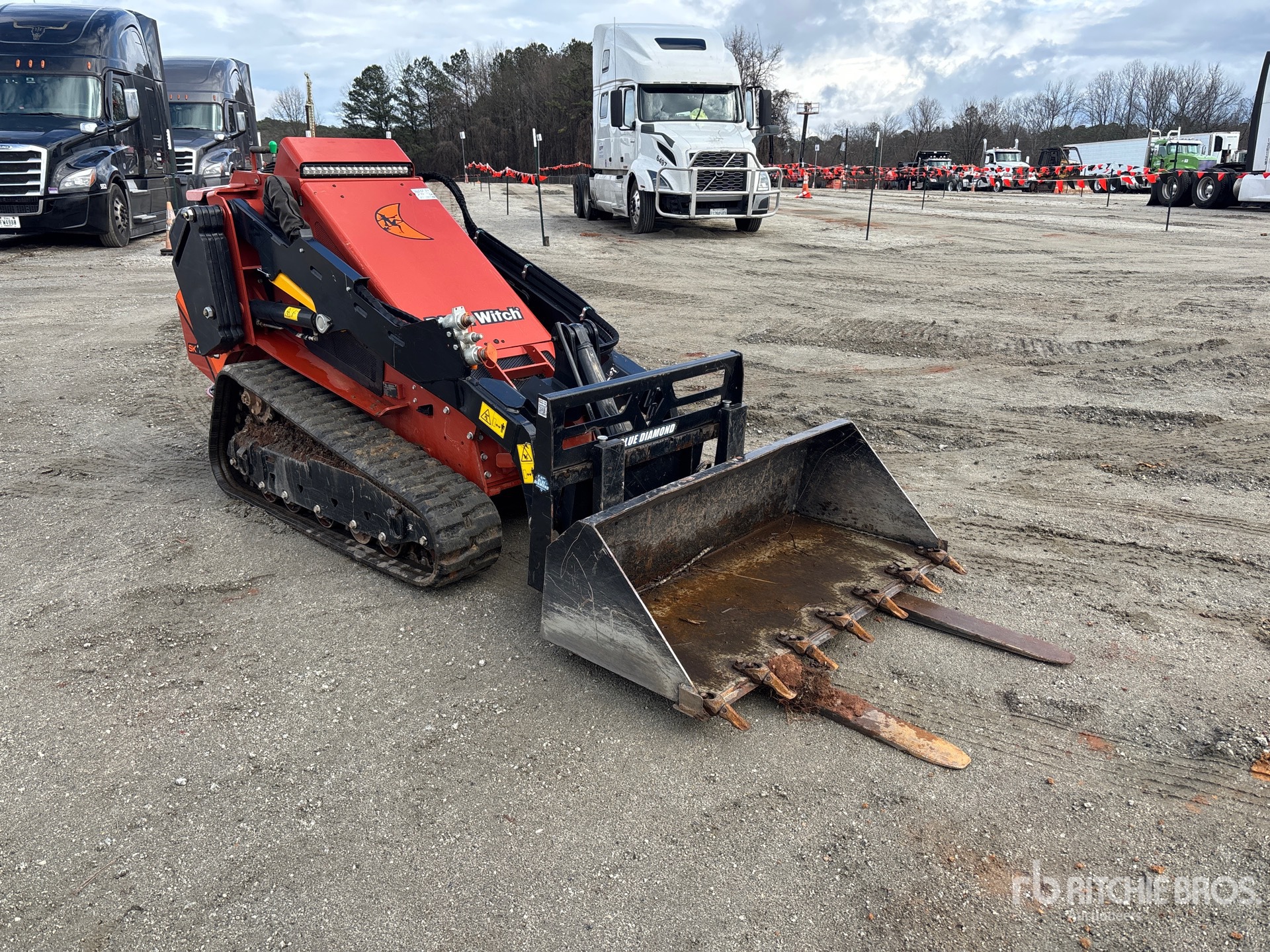 General Appearance with Zdjęcie, prawy górny róg