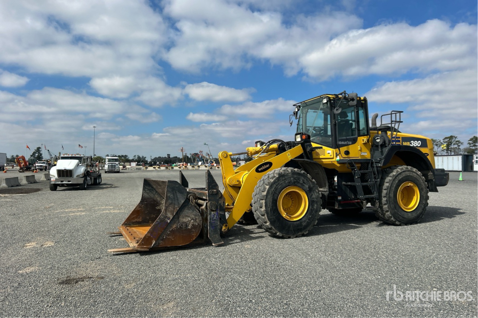 General Appearance with Spin