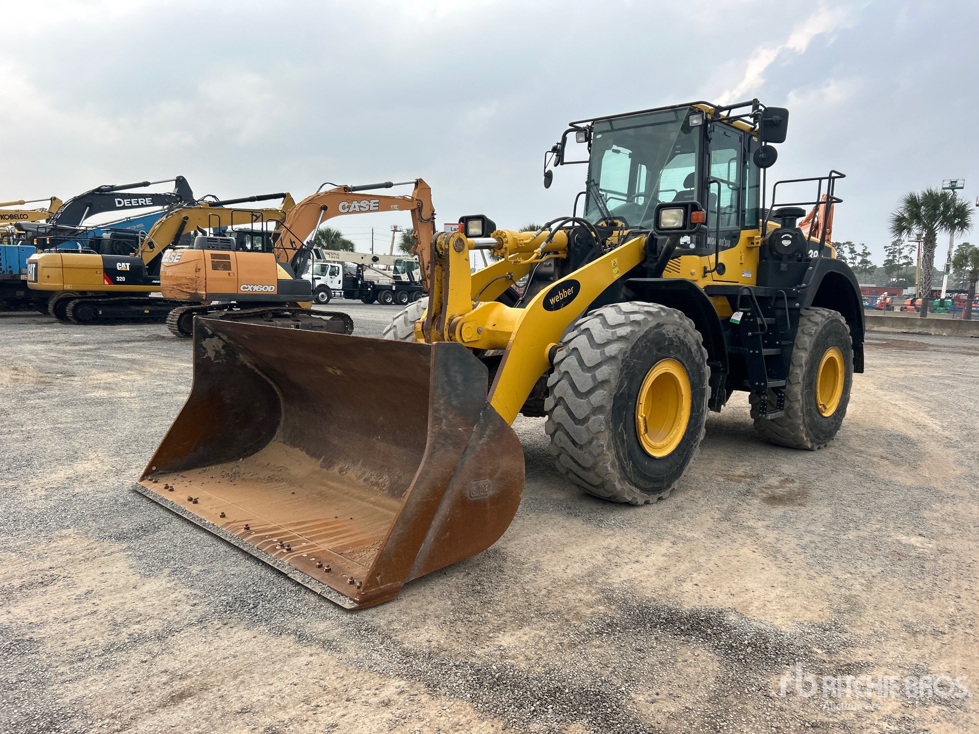 General Appearance with Spin