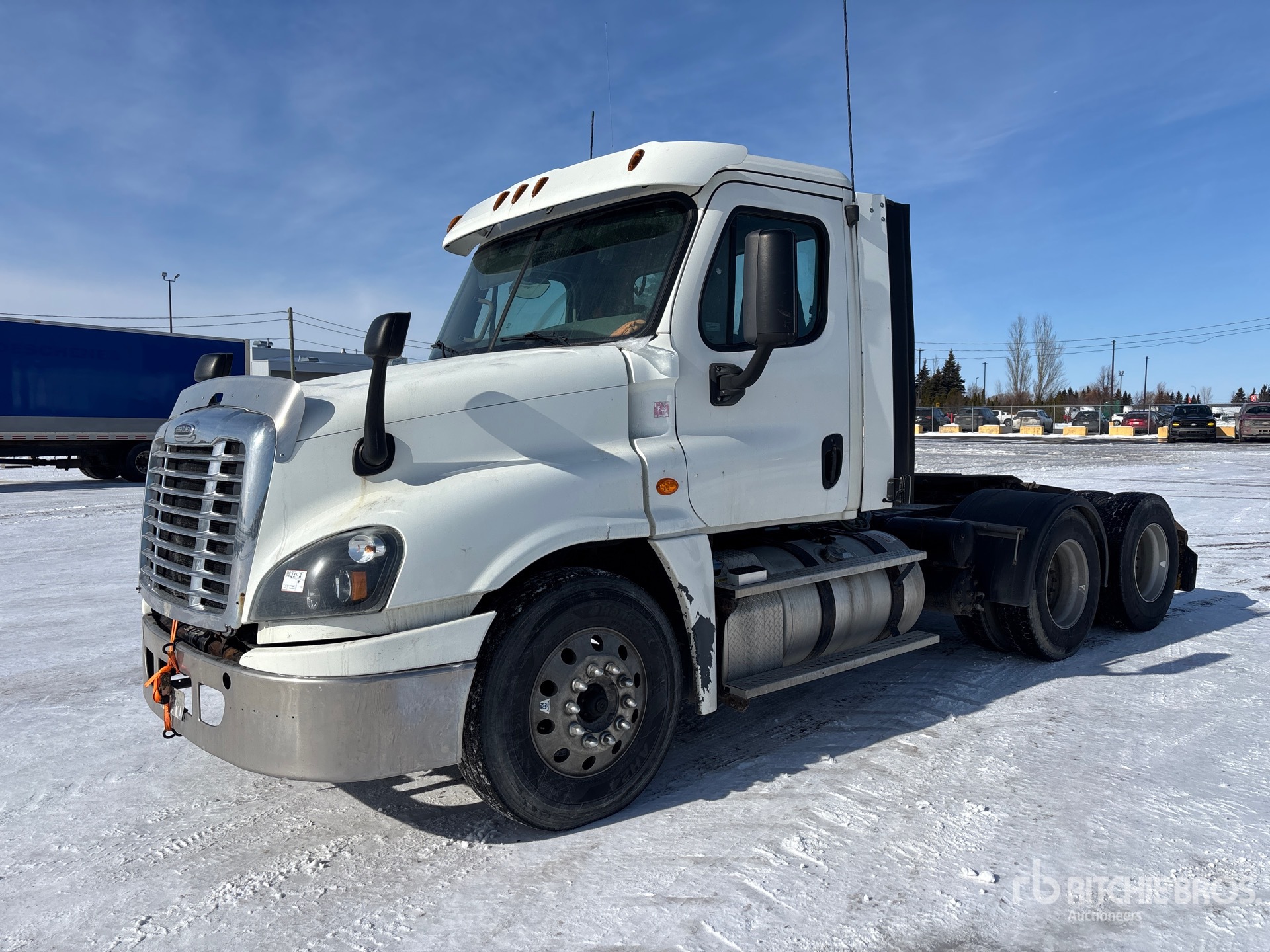 General Appearance with Spin