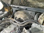 Engine with Radiator