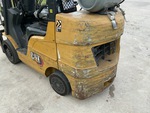 General Appearance with Paint