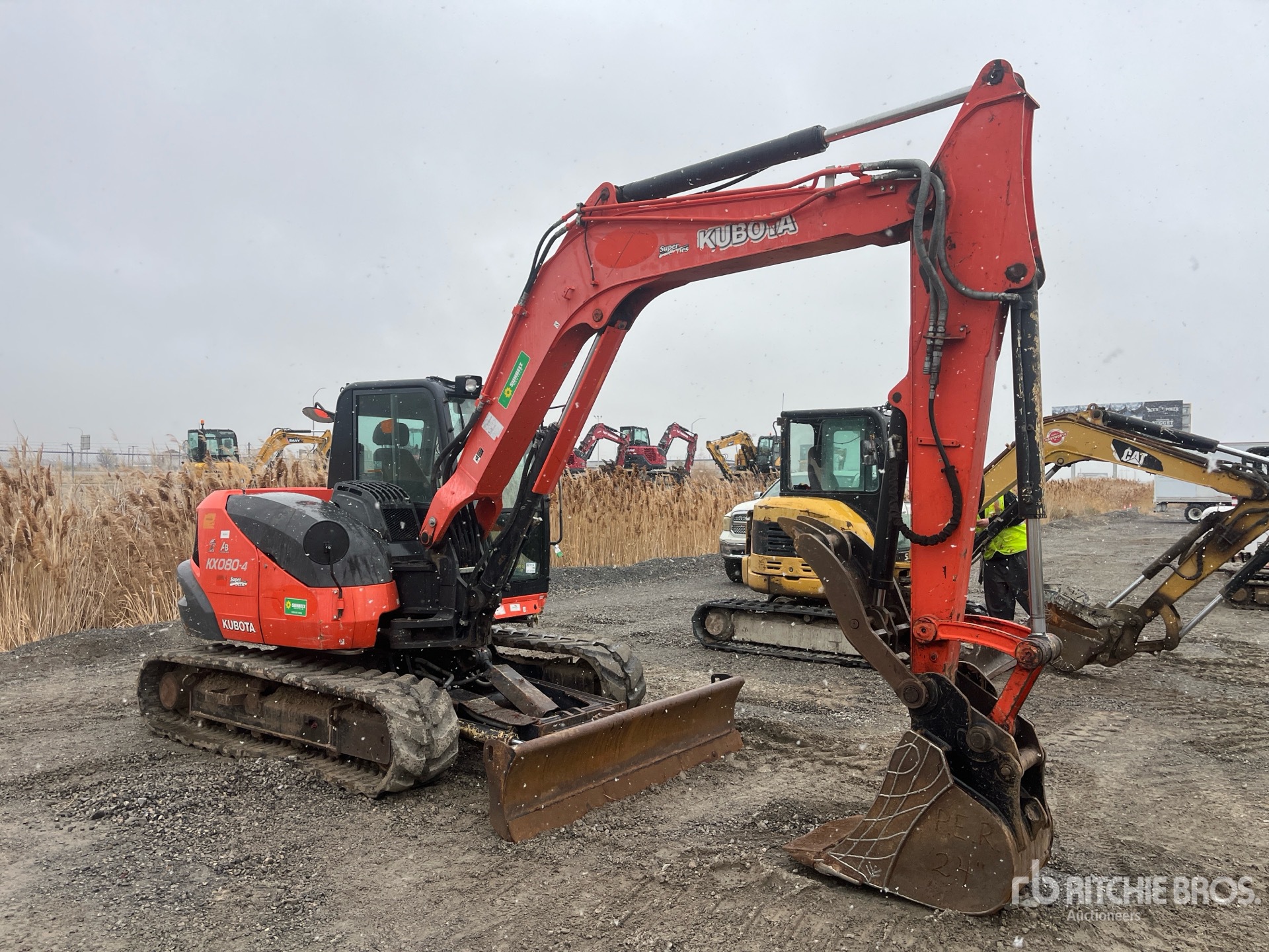 General Appearance with Zdjęcie, prawy górny róg